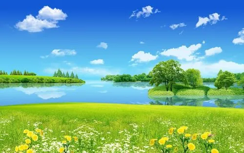 电子节能全自动